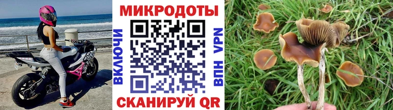 Псилоцибиновые грибы GOLDEN TEACHER  Купить где  Бугульма 