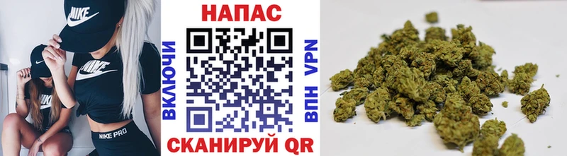 Бошки марихуана сатива Бугульма